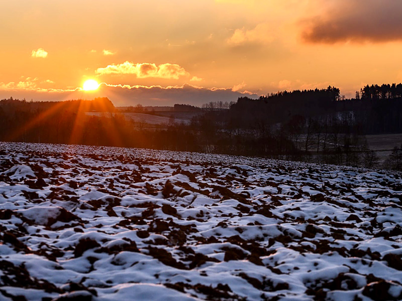 Feld im Januar bei Alt-Rognitz